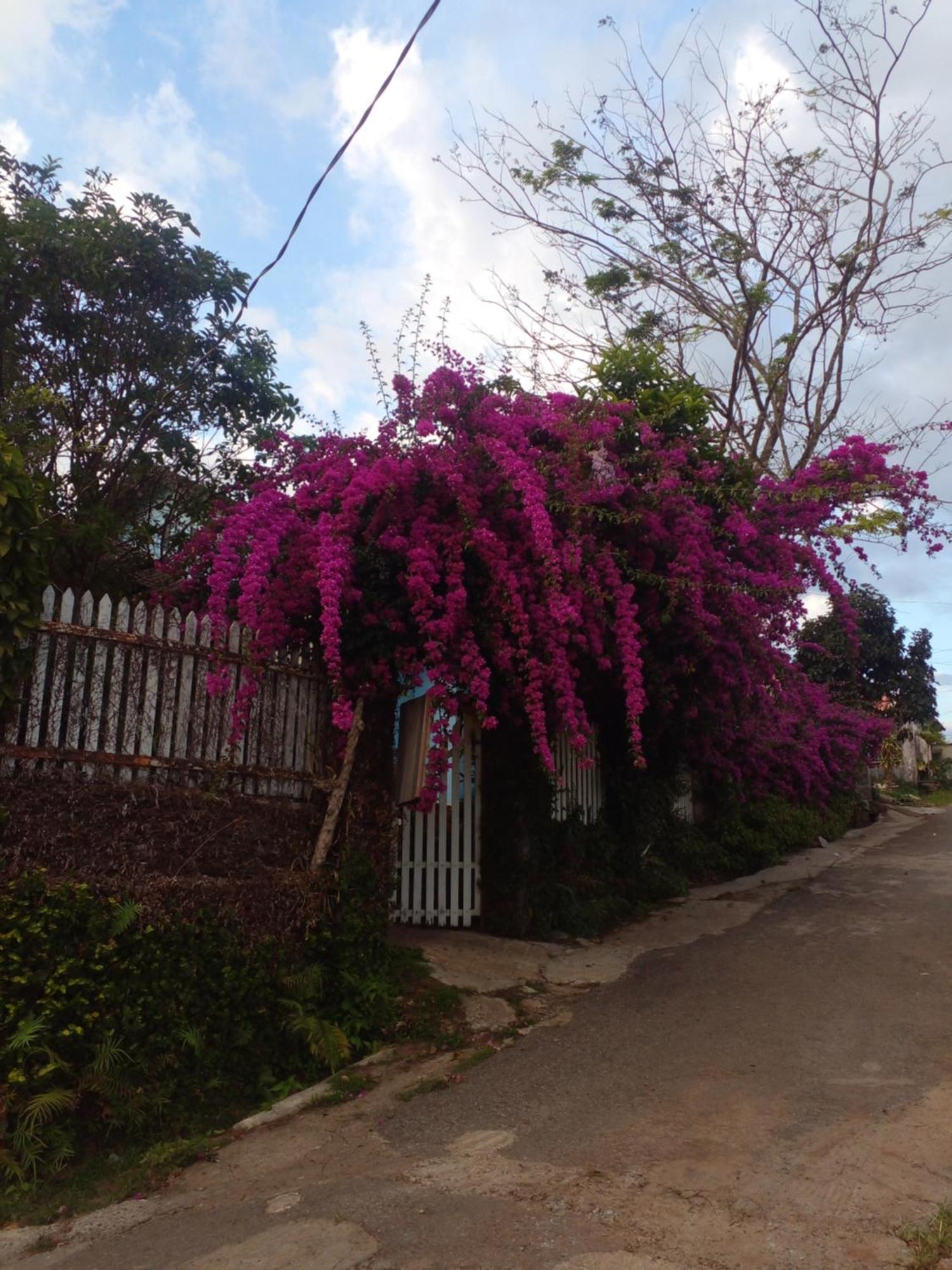 Ly'S Homestay Gia Nghĩa Esterno foto